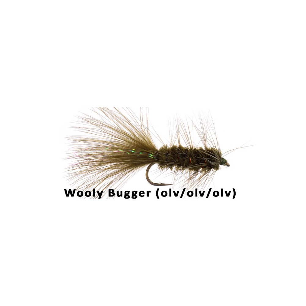 Wooly Bugger Olv/ol/Olv 06