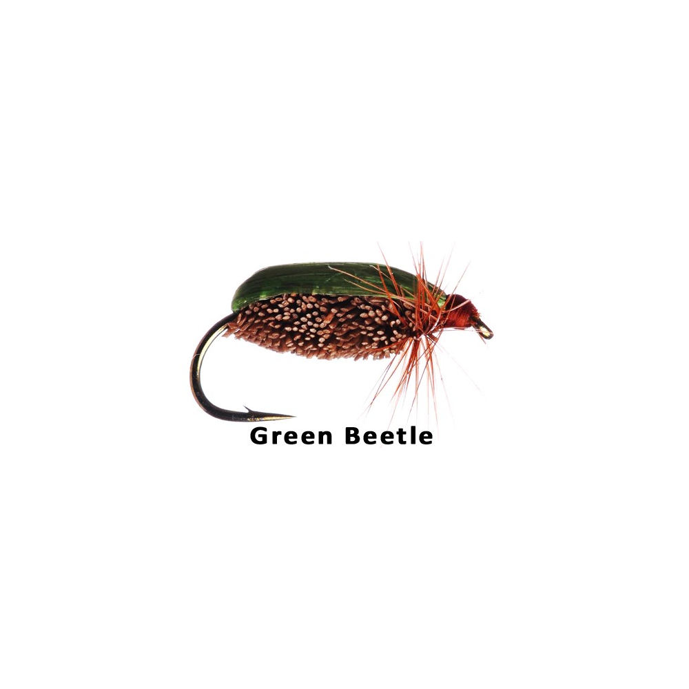 Green Beetle 12 