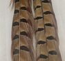 Pheasant Tails Pair -Natural 