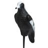 OO DECOY MAGPIE WHITE & BLACK 